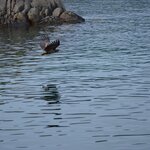 Photo taken by paolo c