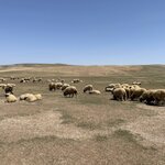 Photo taken by Bruce B