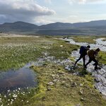 Photo taken by Mike S