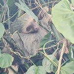 Photo taken by Brett F