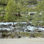 Photo taken by Andrea Y