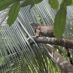 Photo taken by Cara A