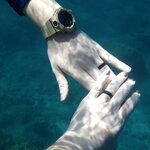 Photo taken by Steven P