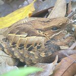 Photo taken by Kim L