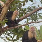 Photo taken by Steven C