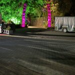 Photo taken by Mary B