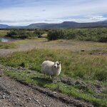 Photo taken by Scott C