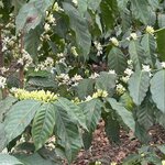 Photo taken by Judy S