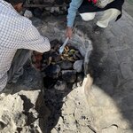 Photo taken by Alpa M