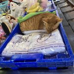 Photo taken by Audrea H