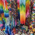 Photo taken by Charlotte B