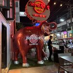 Photo taken by Suzanne W