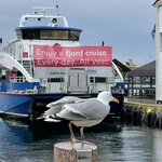 Photo taken by Susan K