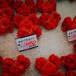 Photo taken by Caroline K