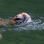 Photo taken by mindy n