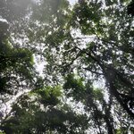 Photo taken by Esther B