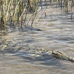 Photo taken by Janie W