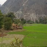 Photo taken by Amy S