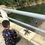 Photo taken by Margaret S