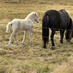 Photo taken by Janet M