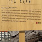 Photo taken by Lucy O