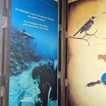 Photo taken by mimi s