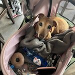 Photo taken by Krissy S