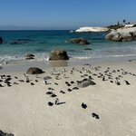 Photo taken by Chris K