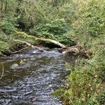 Photo taken by David L