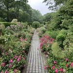 Hidcote | Photo taken by Steven Lee J