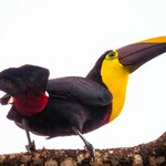 Photo taken by Wilbert A