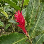 Photo taken by Mark S