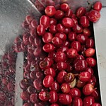 Photo taken by Marcia G