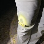 Photo taken by Joyce C