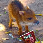 Photo taken by Dennis H