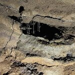 Photo taken by Sue F