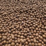 Photo taken by Denise M