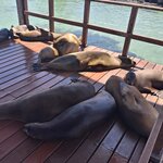 Photo taken by Jayme B