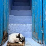 Photo taken by Lindsey B