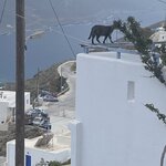 Photo taken by Geoff B