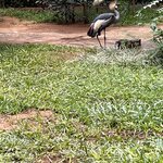 Photo taken by Graciela P