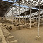 Photo taken by Emily F