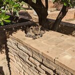 Photo taken by Nicole W