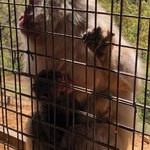 Photo taken by Naomi B