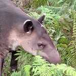 Photo taken by Bryan D