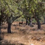 Photo taken by Cynthia W