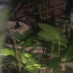 Photo taken by clenie v