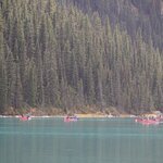 Photo taken by Leonique Q