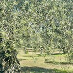 Photo taken by Andrea B