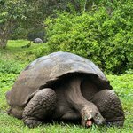 Photo taken by Maggie K